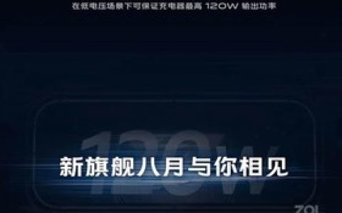 iQOO 3 Pro（全网通/5G版）参数及手机配置介绍