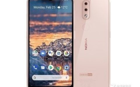 Nokia 4.2 (3GB RAM/Full Netflix) Parameters and Phone Configuration Introduction