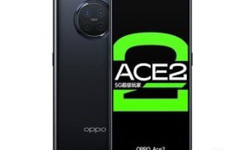 OPPO Ace2（12GB/256GB/全网通/5G版）参数及手机配置介绍