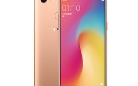 OPPO A73（全网通）参数及手机配置介绍