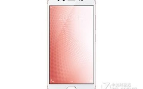 vivo X9s L（移动全网通）参数及手机配置介绍