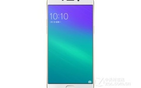 OPPO R9 Plus（高配版/全网通）参数及手机配置介绍