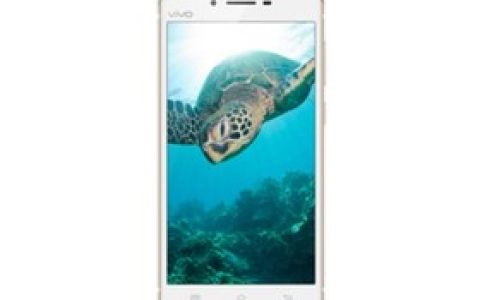 vivo X6SPlus（远航版/全网通）参数及手机配置介绍