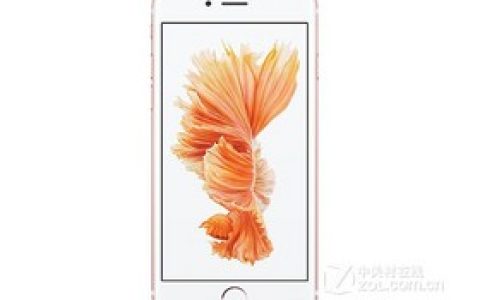 苹果iPhone 6S Plus（国际版/双4G）参数及手机配置介绍