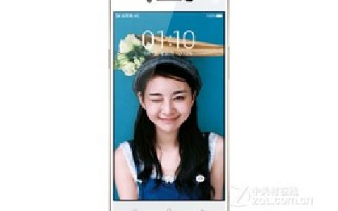 OPPO R1C（R8205/电信4G）参数及手机配置介绍