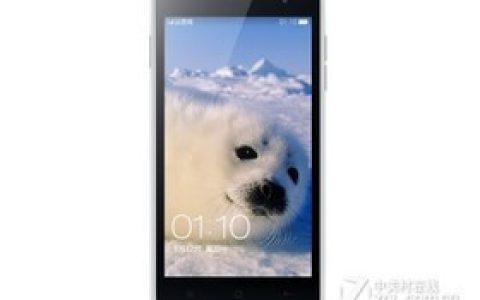 OPPO R2010（联通4G） 参数及手机配置介绍