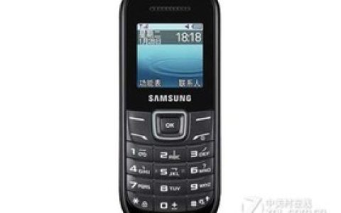 Samsung E1200R parameters and phone configuration introduction