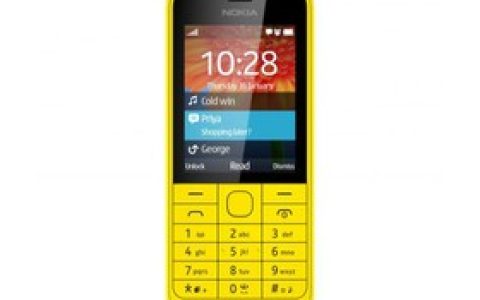 Nokia 220 (Dual SIM version) parameters and phone configuration description