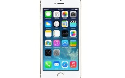 苹果iPhone 5S（电信3G）参数及手机配置介绍