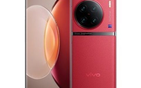 vivo X90 Pro+（12GB/256GB）参数及手机配置介绍