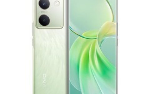 Vivo Y100 (8GB/128GB) parameters and phone configuration introduction