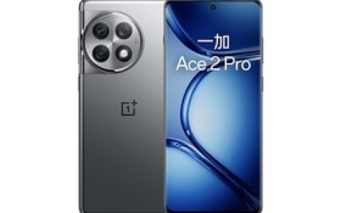 一加Ace 2 Pro （24GB/1TB）参数及手机配置介绍