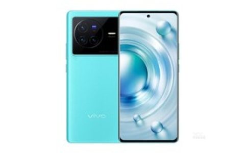 vivo X80（12GB/256GB）参数及手机配置介绍