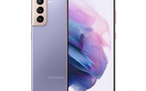 三星Galaxy S21（8GB/256GB/全网通/5G版）参数及手机配置介绍