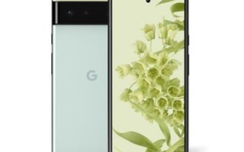 Google Pixel 6参数及手机配置介绍