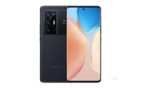 vivo X70 Pro+（12GB/256GB/全网通/5G版）参数及手机配置介绍