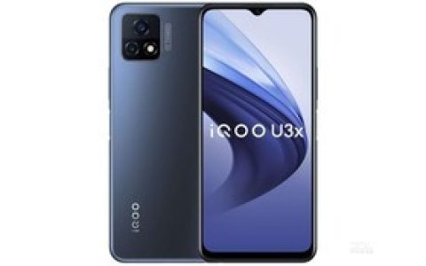 iQOO U3x（4GB/128GB/全网通/5G版）参数及手机配置介绍