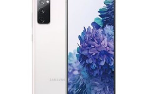 三星Galaxy S20 FE（8GB/256GB/全网通/5G版）参数及手机配置介绍