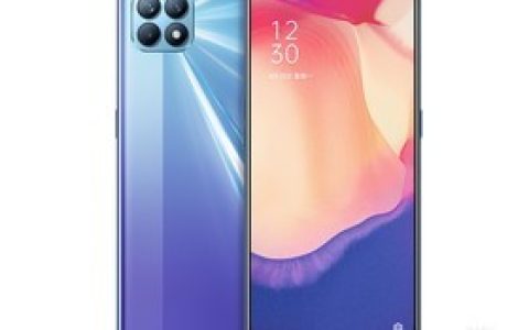 OPPO Reno4 SE（8GB/256GB/全网通/5G版）参数及手机配置介绍