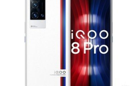 iQOO 8 Pro（8GB/256GB/全网通/5G版）参数及手机配置介绍