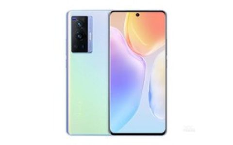 vivo X70 Pro（12GB/512GB/全网通/5G版）参数及手机配置介绍