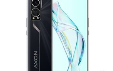 中兴AXON 30（8GB/512GB/全网通/5G版）参数及手机配置介绍