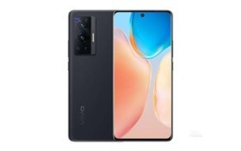 vivo X70 Pro（8GB/128GB/全网通/5G版）参数及手机配置介绍