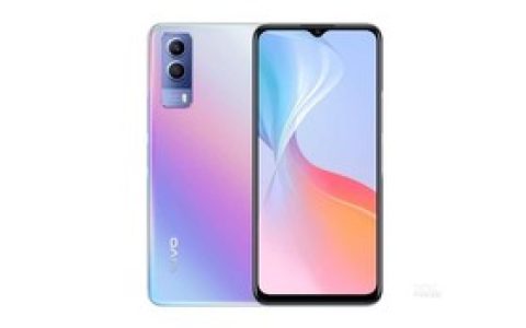 vivo T1x（6GB/128GB/全网通/5G版）参数及手机配置介绍