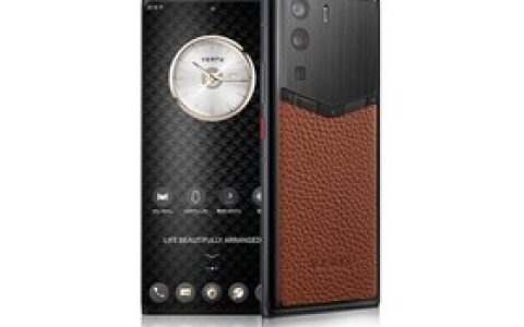 VERTU METAVERTU 焦糖棕小牛皮（12GB/512GB）参数及手机配置介绍