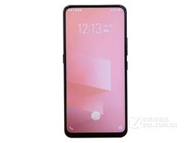 vivo X25（全网通）参数及手机配置介绍插图