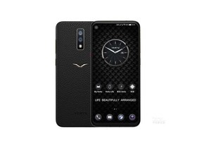 VERTU VISION（8GB/128GB/全网通/蜴蜥皮版）参数及手机配置介绍插图