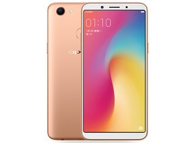 OPPO A73（全网通）参数及手机配置介绍插图